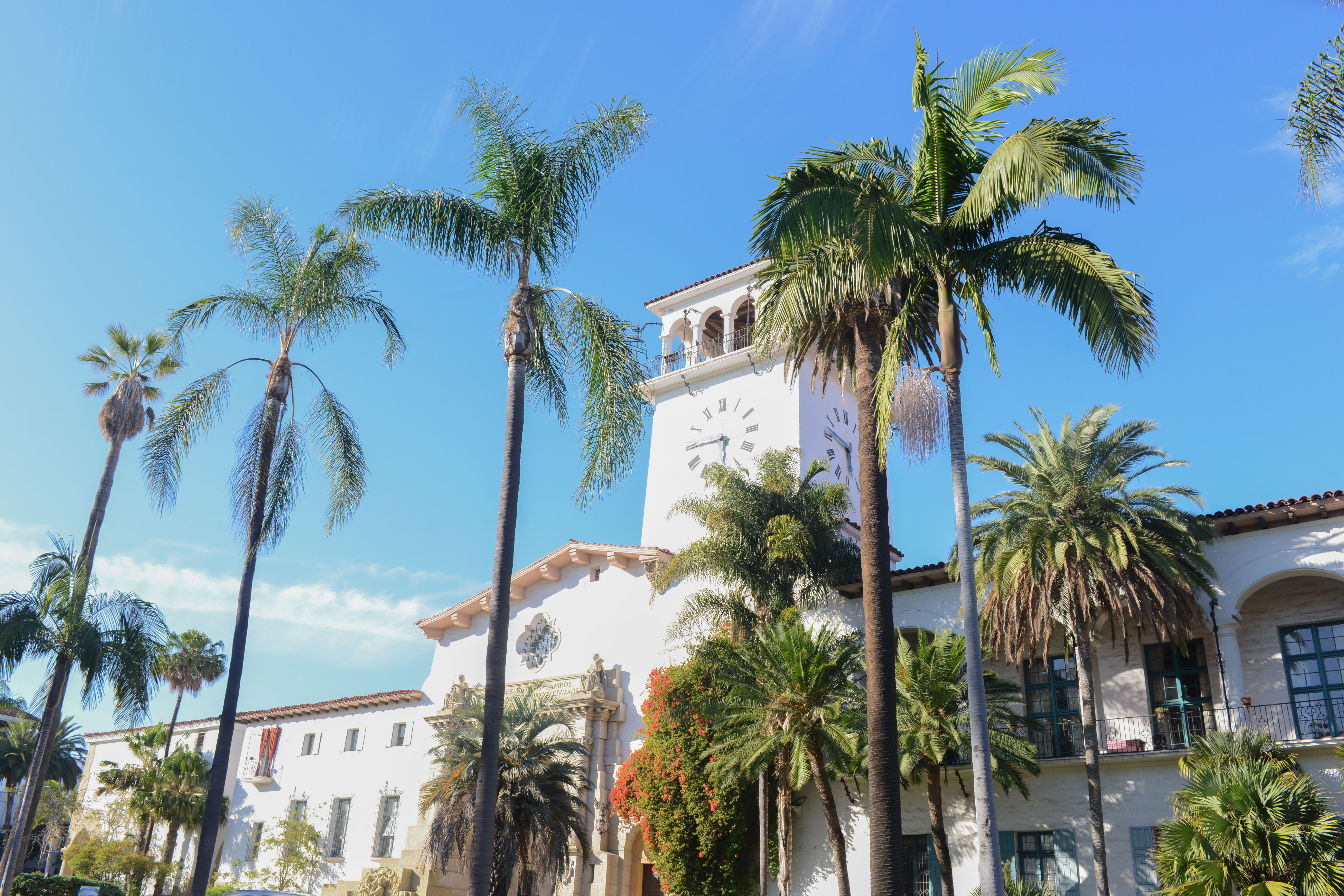 white spanish style courthouse behind a row of palm trees