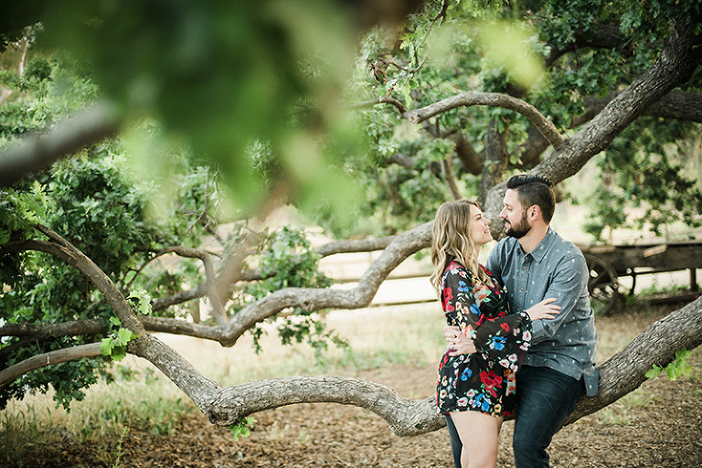 Caucasian couple looking at each other as they sit on a large tree branch