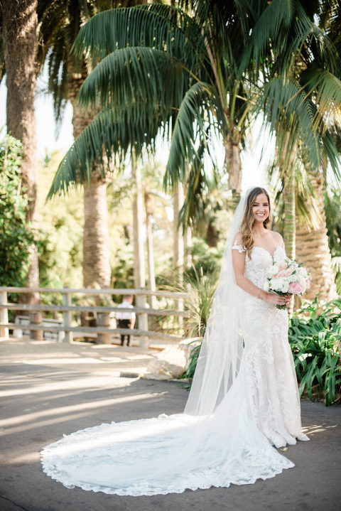 bride posing under palm trees